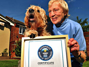 Supporting image for story: Theatrical Telford dog in Guinness Book of World Records