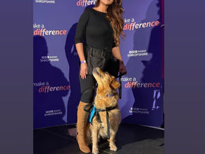 Supporting image for story: Ernie the therapy dog honoured in BBC’s Make a Difference Awards