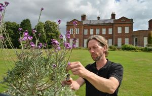 Simon Hughes at Dudmaston Hall