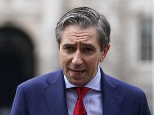 Supporting image for story: EU-US negotiations ‘likely’ – Simon Harris