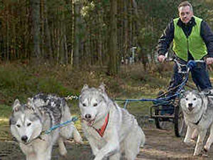 Supporting image for story: Steve shows dogged resolve for Arctic