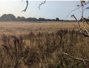 The location of the proposed additional static caravans at Spring Lea Holiday Park & Fishery. Picture: Shropshire Council