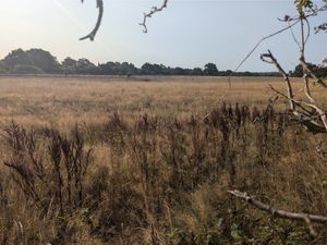 Supporting image for story: 'Sardines squashed into a tin' - words of concerned residents near Shrewsbury as holiday park plans approved