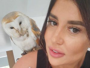 Supporting image for story: Telford mum has a hoot with an unexpected house guest