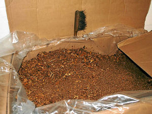 Supporting image for story: How Black Country tobacco baron's plan went up in smoke