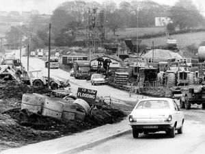 Supporting image for story: This week's pictures from the past