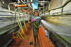 Matt washing down the milking parlour ready for the first cows to arrive