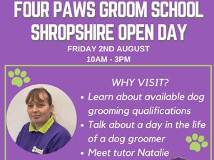 Supporting image for story: New Market Drayton pet grooming school to hold open day
