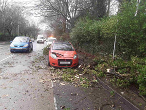 A car was damaged by falling branches in Staffordshire