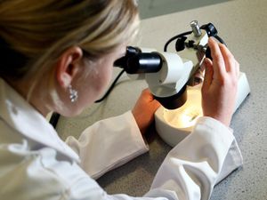 Supporting image for story: New cancer test ‘up to 10 times more sensitive than traditional methods’