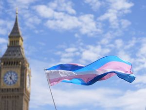 A pro-trans rights rally flag in Westminster
