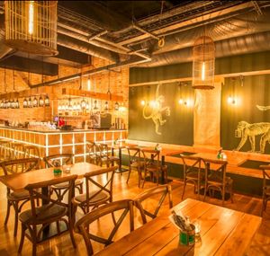 Monkey around – Mowgli in Grand Central