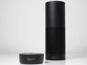 Supporting image for story: Amazon's Alexa can now answer all your burning General Election questions 