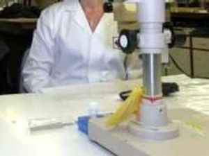 Supporting image for story: DNA testing backed by review