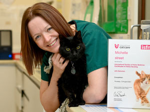 Supporting image for story: Caring Michelle is the cat’s whiskers