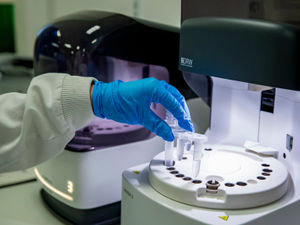 Supporting image for story: Coronavirus: 33 more deaths at hospitals in Black Country, Birmingham and Staffordshire