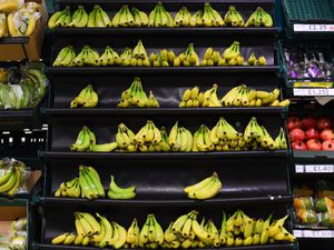 A view of bananas in a Tesco in London