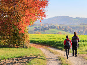 Supporting image for story: New event mixing walking and food to be held