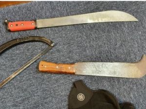 Supporting image for story: Machete found after police chase using helicopter and dogs in Dudley