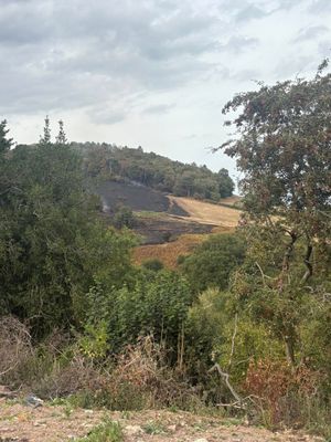 Fire teams from across the county battled a series of wildfires throughout Sunday. Picture: Tweedale Fire Station