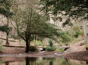 Rectory Wood and the pool in Church Stretton