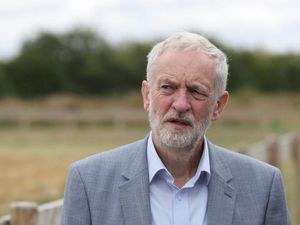 Supporting image for story