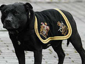 Supporting image for story: Mascot goes on last watch