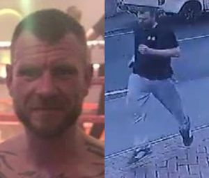 Have you seen Mitchell? 