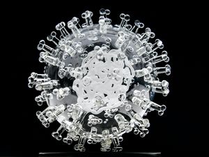 Supporting image for story