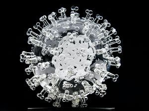 Supporting image for story: Covid-19 virus analysis suggests low level of mutation