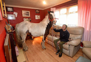 Mr Dudley says he often brings Paige into his home