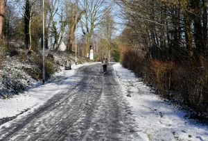 Snow arrives at Telford Town Park. Photo: Tim Thursfield