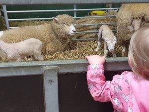 Supporting image for story: Winter Olympics are inspiration for countryside attraction's 2022 opening near Oswestry