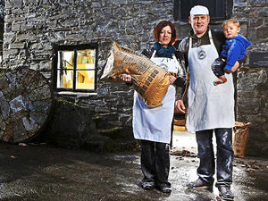 Supporting image for story: Shropshire border watermill for sale at £1.4 million