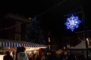 Ludlow Winter Festival. Picture: Ludlow Town Council