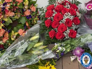 Supporting image for story: Man in 60s dies after being hit by car in Coseley