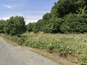 Supporting image for story: Campaigners will 'fight hard' against new Market Drayton commercial plan