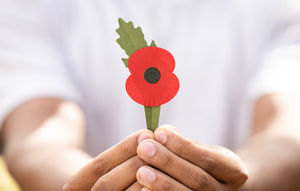 Royal British Legion's poppy 