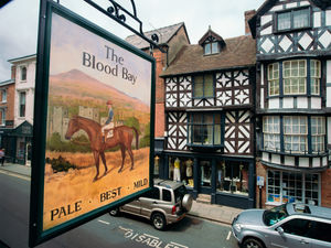 Supporting image for story: Race is on as Victorian-style Shropshire pub seeks new owners