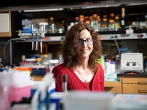 Pamela Bjorkman in a lab