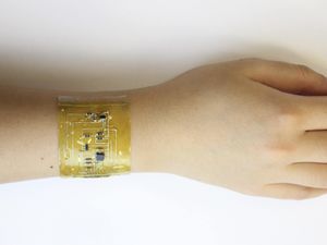 Supporting image for story: Electronic skin ‘could be an eco-friendly alternative to wearable devices’