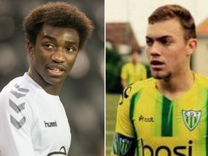 Supporting image for story: Wolves snap up two youngsters