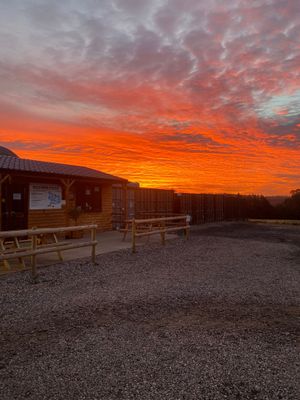Lauren Westlake was up early at the Country Kitchen near Bridgnorth to take this stunning picture
