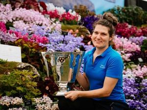 Supporting image for story: Plans blooming for 2020 Shrewsbury Flower Show