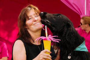Thousands of people – and dogs – turned out for Ludlow Dog Day.