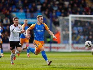 Supporting image for story: Shrewsbury Town 1-2 Walsall: Priestley Farquharson brace sinks Salop and ends unbeaten run