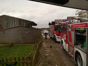 Supporting image for story: Sheep rescued from slurry pit at farm near Shrewsbury