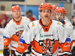 Supporting image for story: Telford Tigers breeze past Berkshire Bees despite selection issues