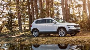 Supporting image for story