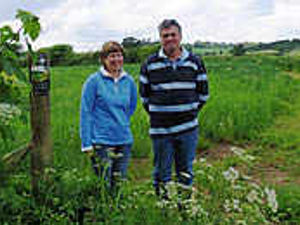 Supporting image for story: New era at county farm
